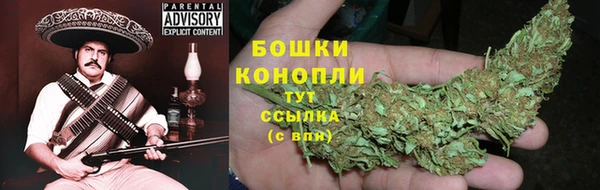 spice Алзамай