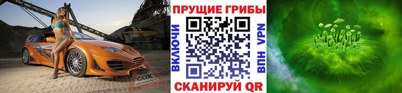 Галлюциногенные грибы мицелий  Ленинск-Кузнецкий 
