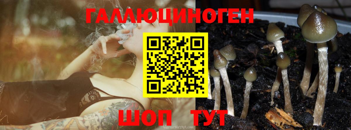 Галлюциногенные грибы MAGIC MUSHROOMS  Галлюциногенные грибы Magic Shrooms  Вход с VPN  Ленинск-Кузнецкий 